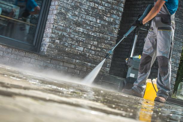 Best Roof Washing  in South Whitley, IN